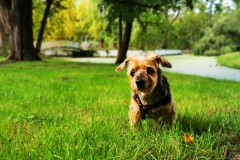 IMG_20200910_172320