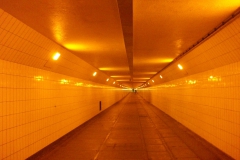 DSCF5411