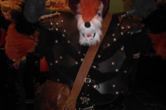 Ein-Wolf