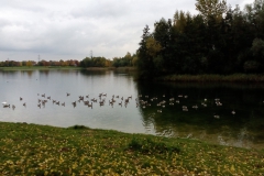 IMG_20151025_152257