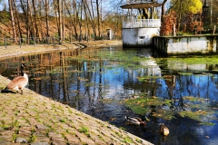 IMG_20200321_142722