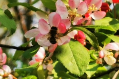 IMG_20200407_164356