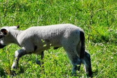 IMG_20200423_162838
