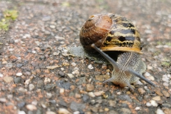 IMG_20200510_170921