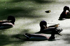 IMG_20200529_171638