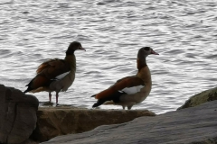 IMG_20200607_164456