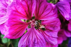 IMG_20200619_160500