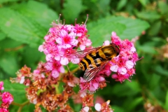 IMG_20200708_164526