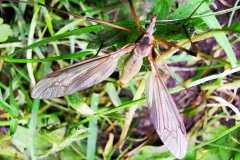 IMG_20200909_230645