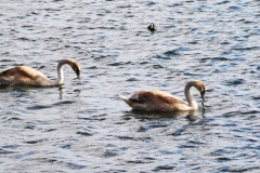 IMG_20201004_160836