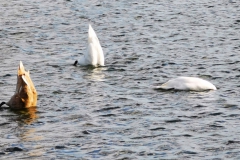 IMG_20201004_160849