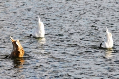 IMG_20201004_160910