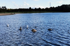 IMG_20201004_161011