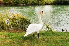 IMG_20201011_164740