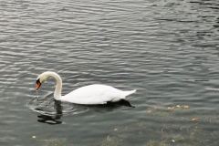 IMG_20201020_103903