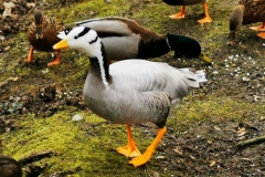 IMG_20210123_155419