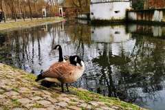 IMG_20210320_153538