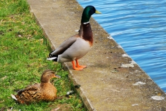 IMG_20210407_183628