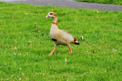 IMG_20210407_183720