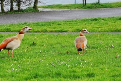 IMG_20210407_183738