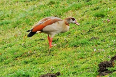 IMG_20210411_174645