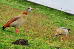 IMG_20210411_174815