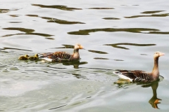 IMG_20210421_224452