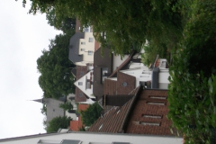 DSCF2309