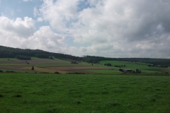 DSCF2329