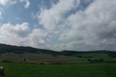 DSCF2331