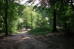 DSCF2360