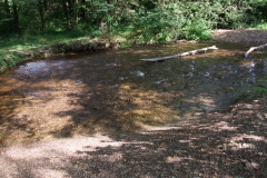 DSCF2363