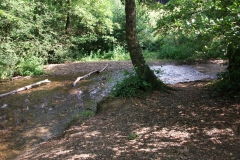 DSCF2364