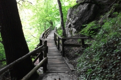 DSCF2374