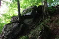 DSCF2375