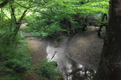 DSCF2376