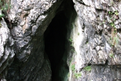 DSCF2378