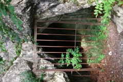 DSCF2382